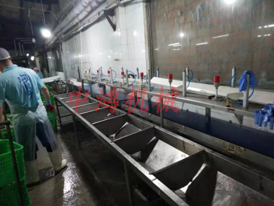 皮带式重量分选机