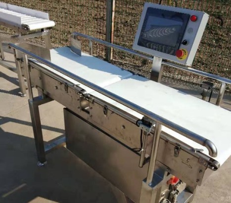 皮带式重量分拣机