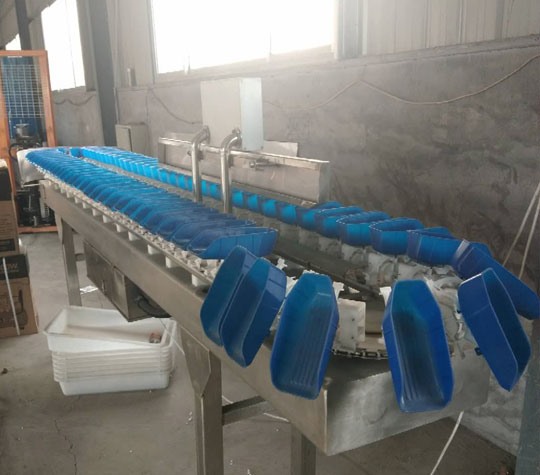 塑料盒式重量分拣机