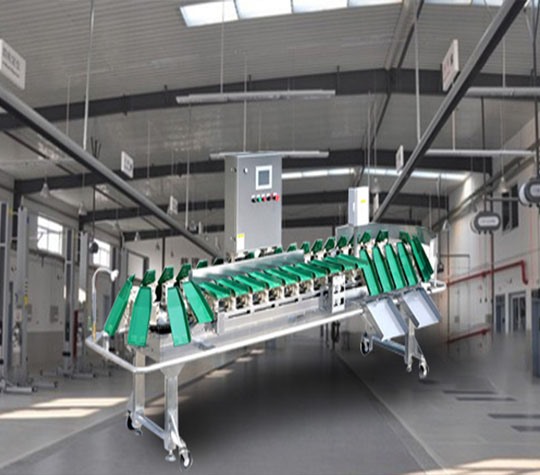 塑料盒式重量分拣机