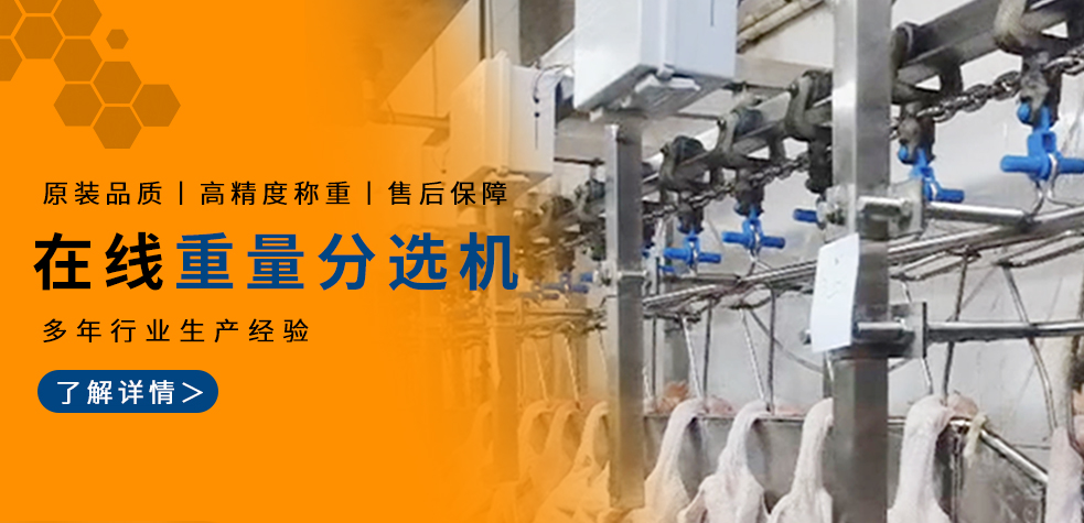 在线重量分选机