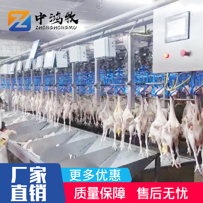 在线重量分选机